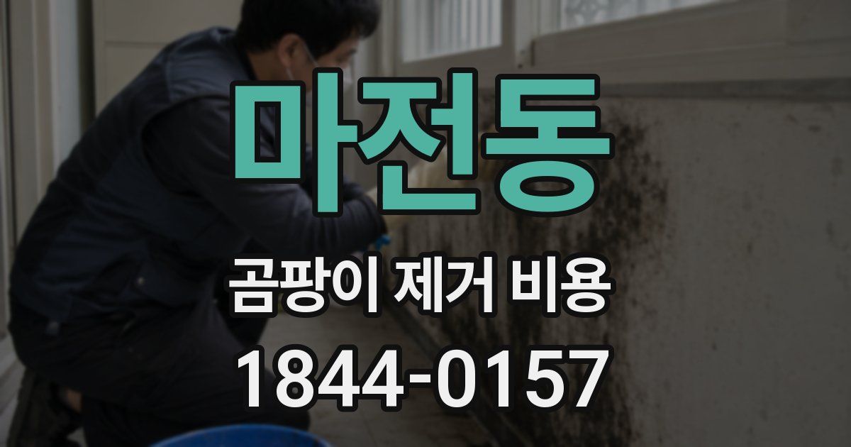 마전동 곰팡이 제거 비용