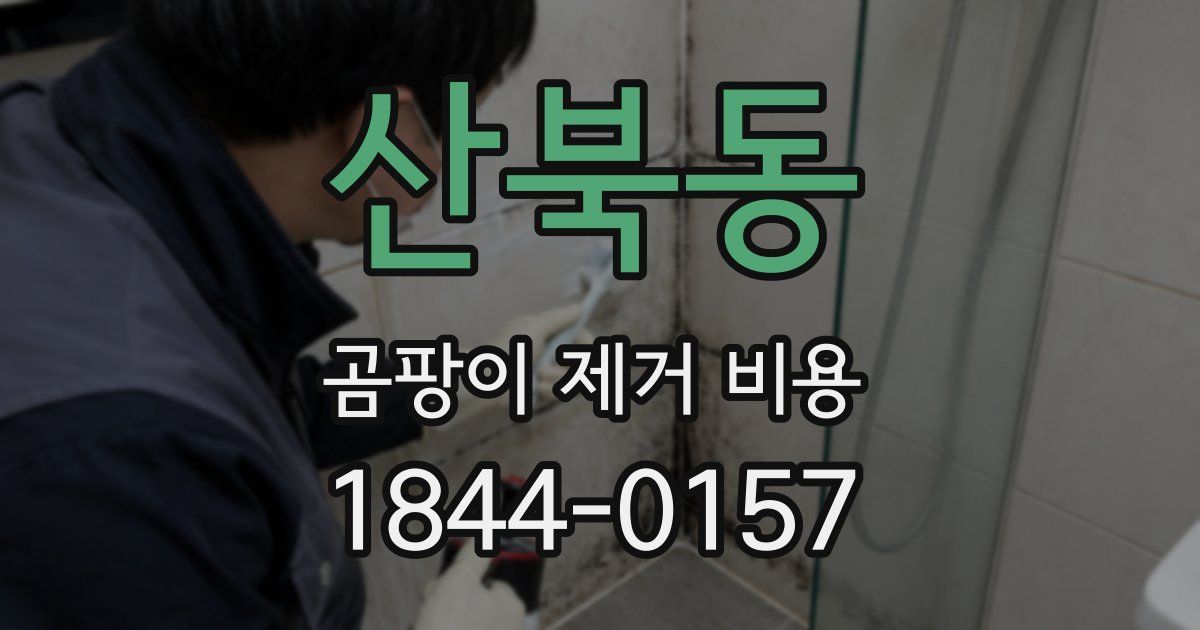 산북동 곰팡이 제거 비용