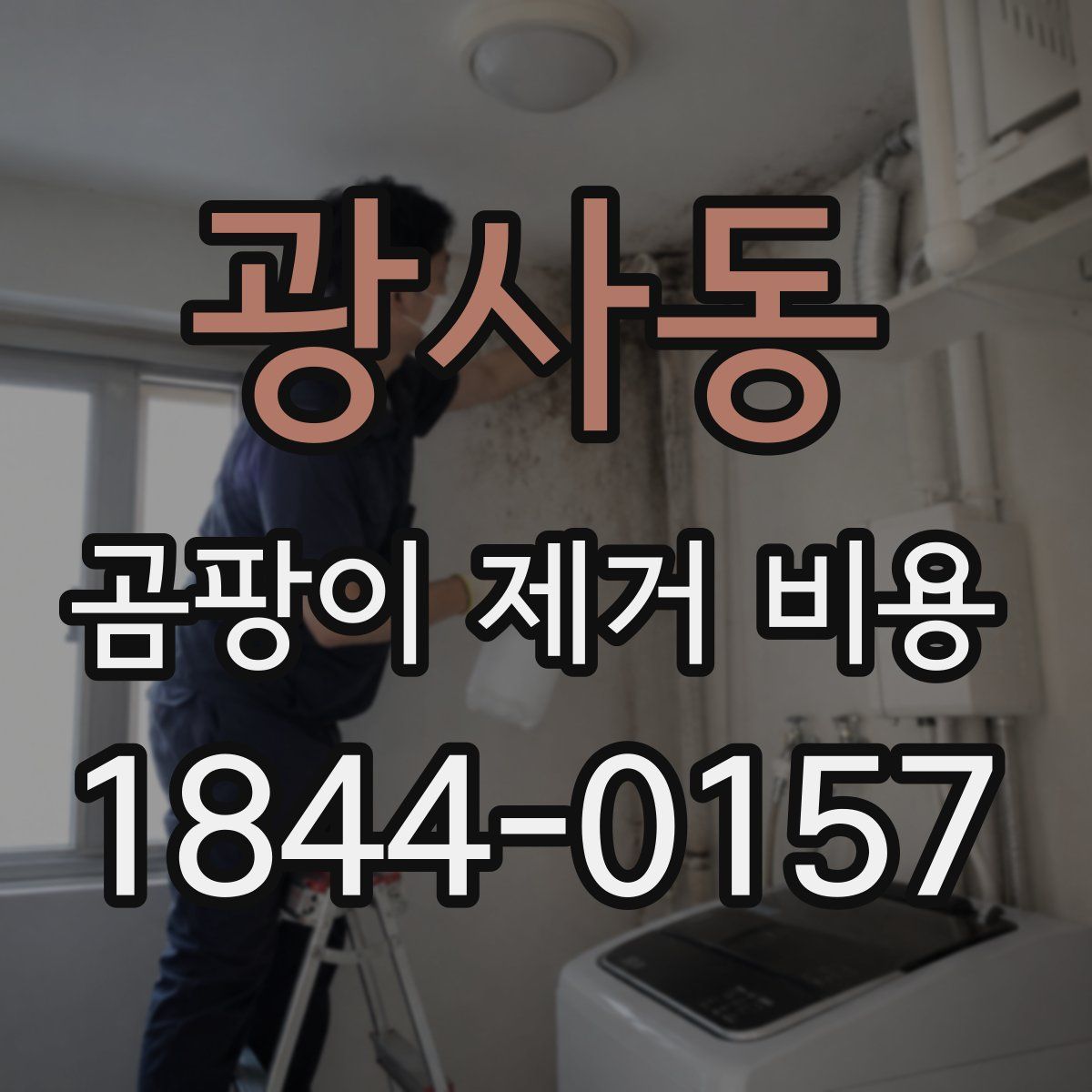 광사동 곰팡이 제거 비용
