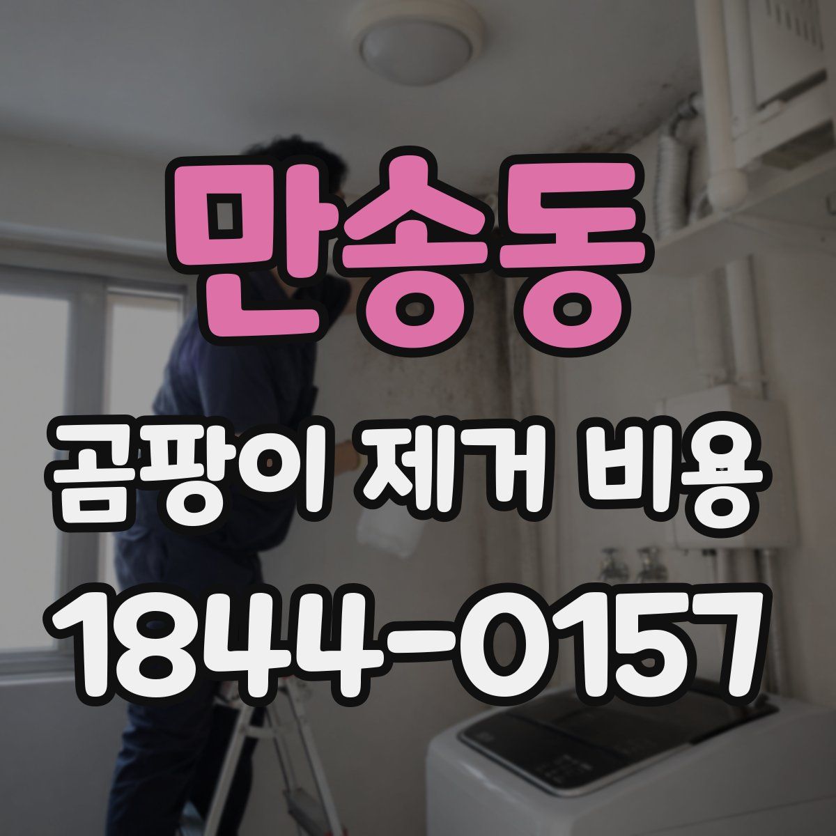 만송동 곰팡이 제거 비용