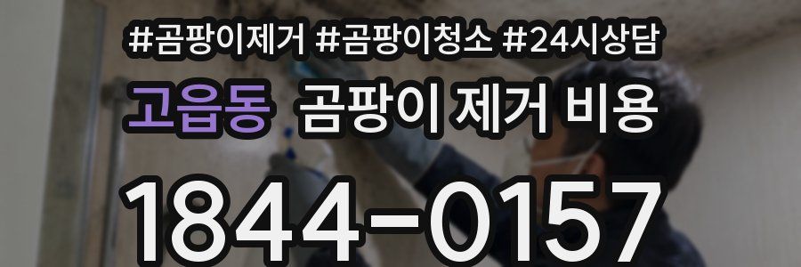 고읍동 곰팡이 제거 비용