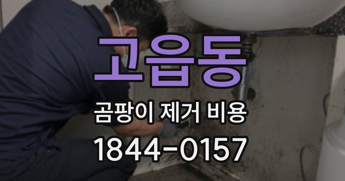 고읍동 곰팡이 제거 비용