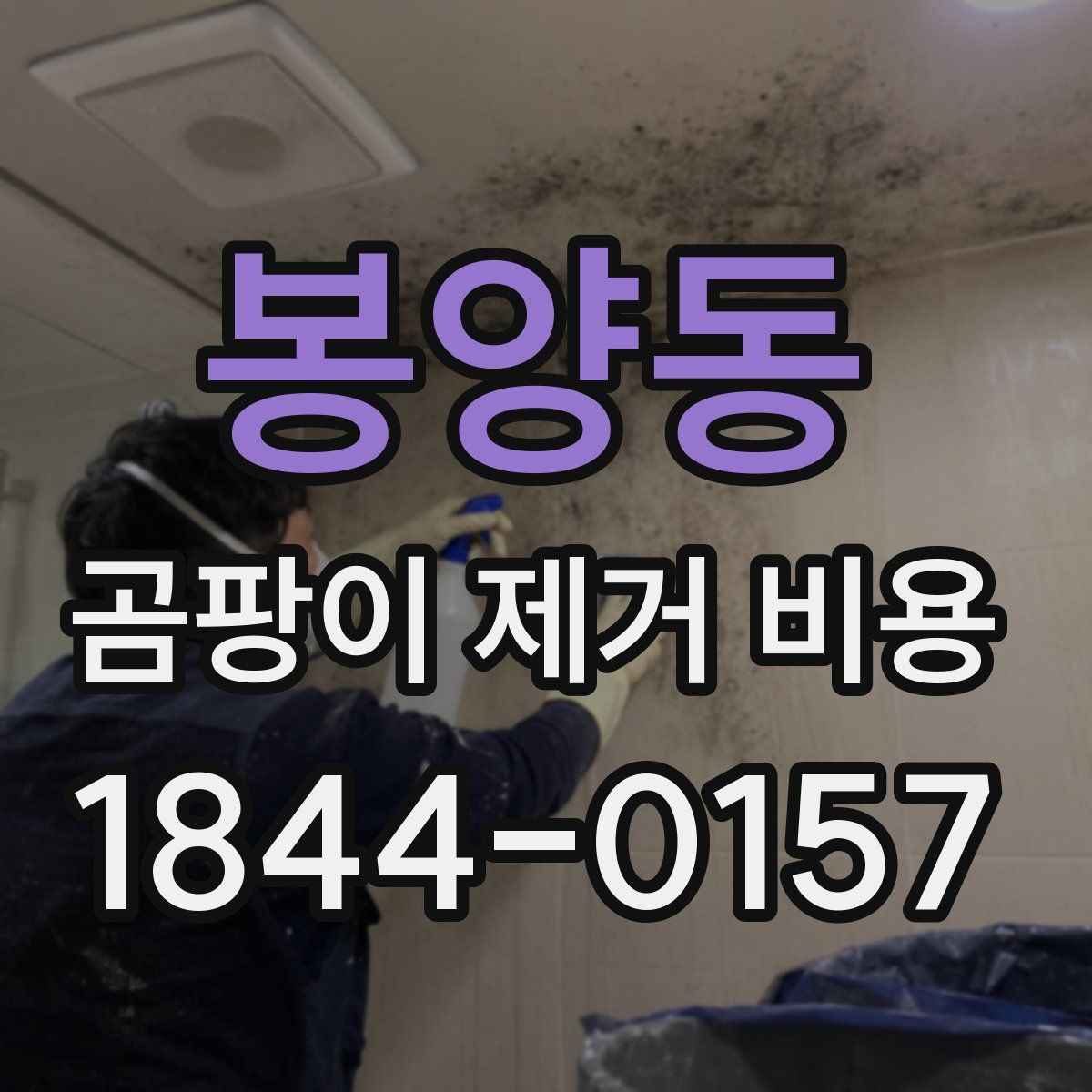 봉양동 곰팡이 제거 비용