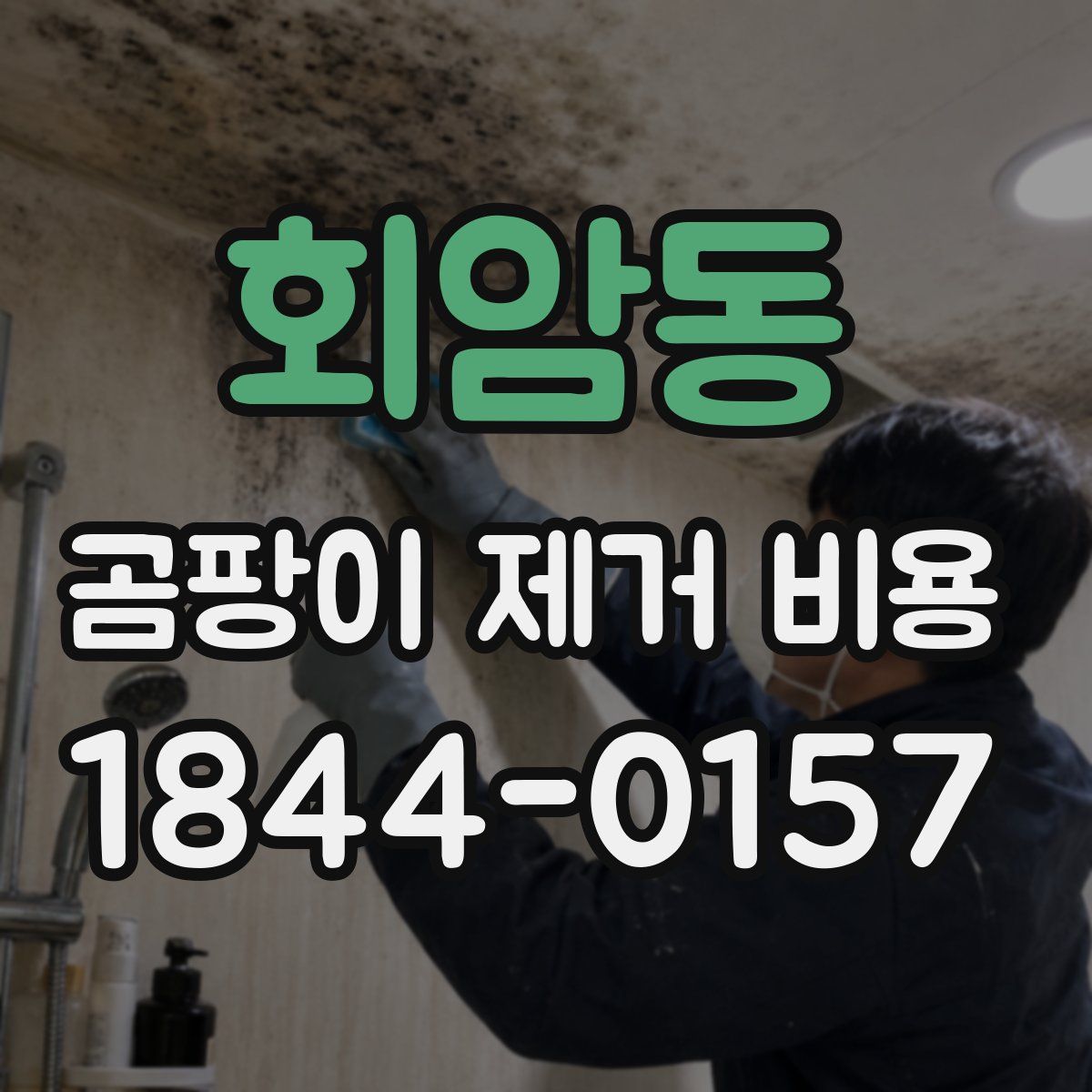 회암동 곰팡이 제거 비용