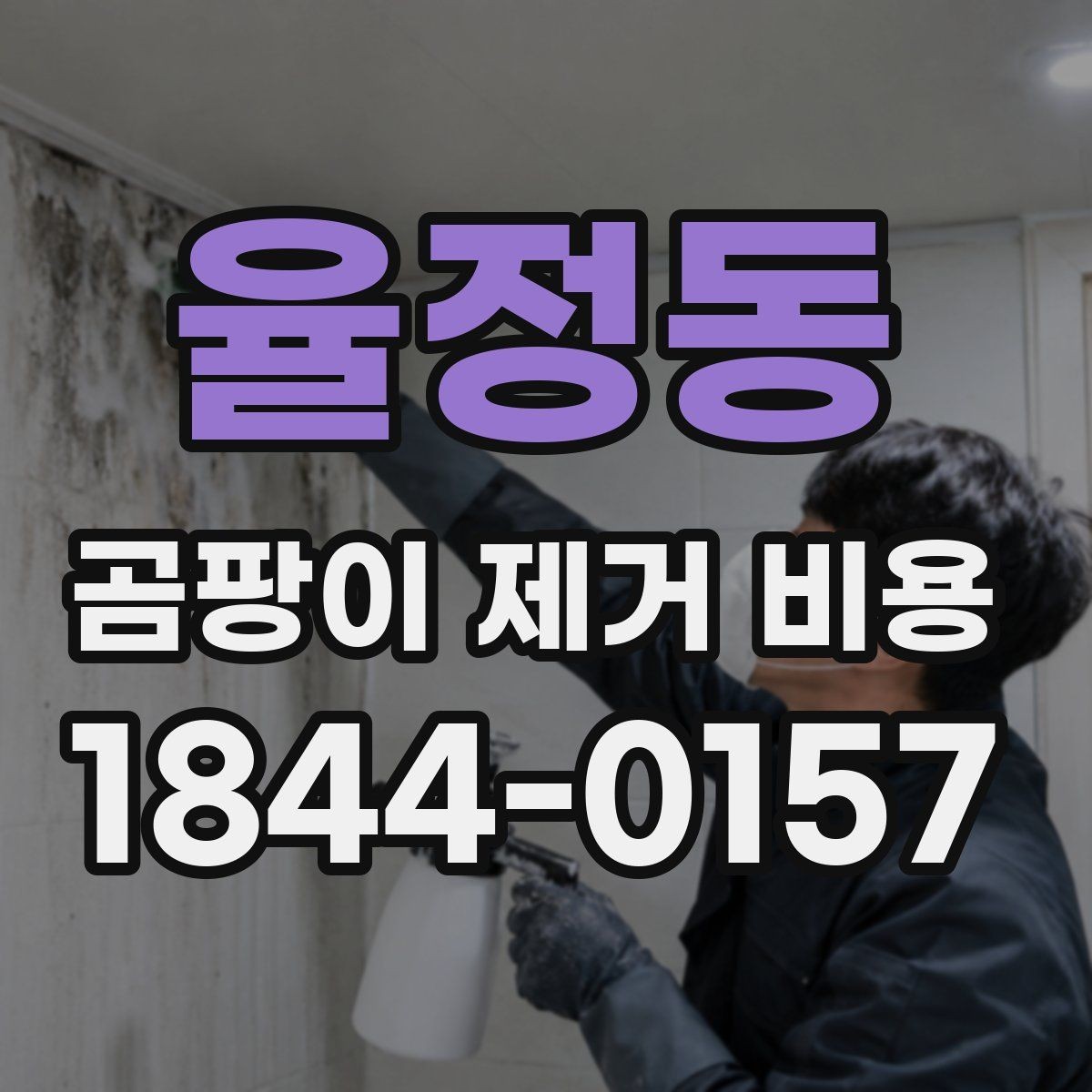 율정동 곰팡이 제거 비용 재발 예방 약제 사용 여부를 확인하는 법