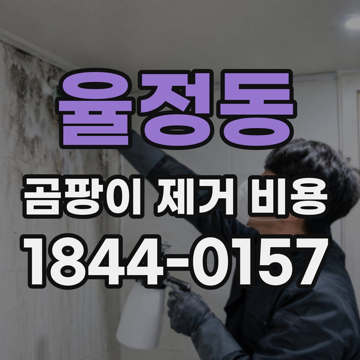 율정동 곰팡이 제거 비용