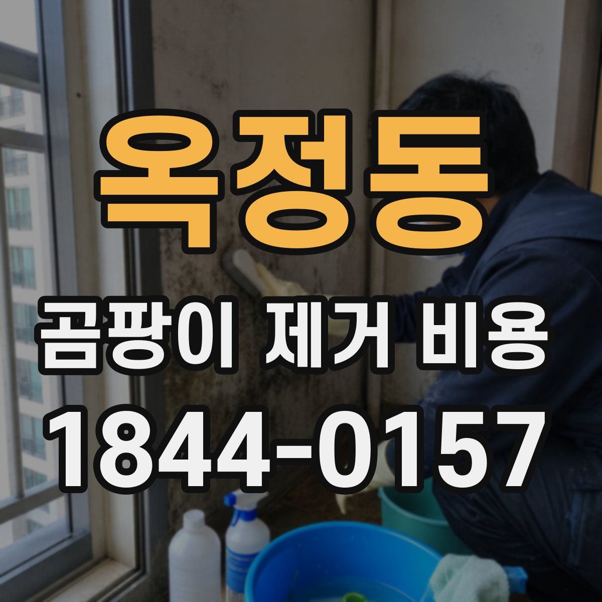 옥정동 곰팡이 제거 비용