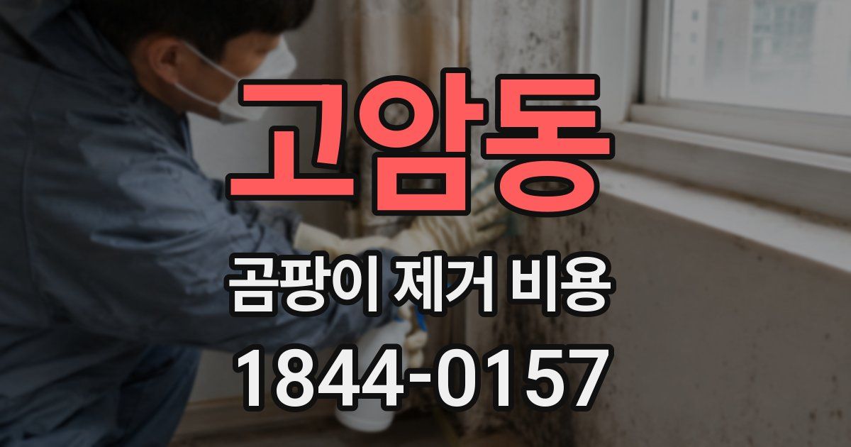 고암동 곰팡이 제거 비용