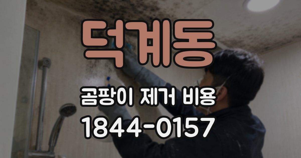 덕계동 곰팡이 제거 비용