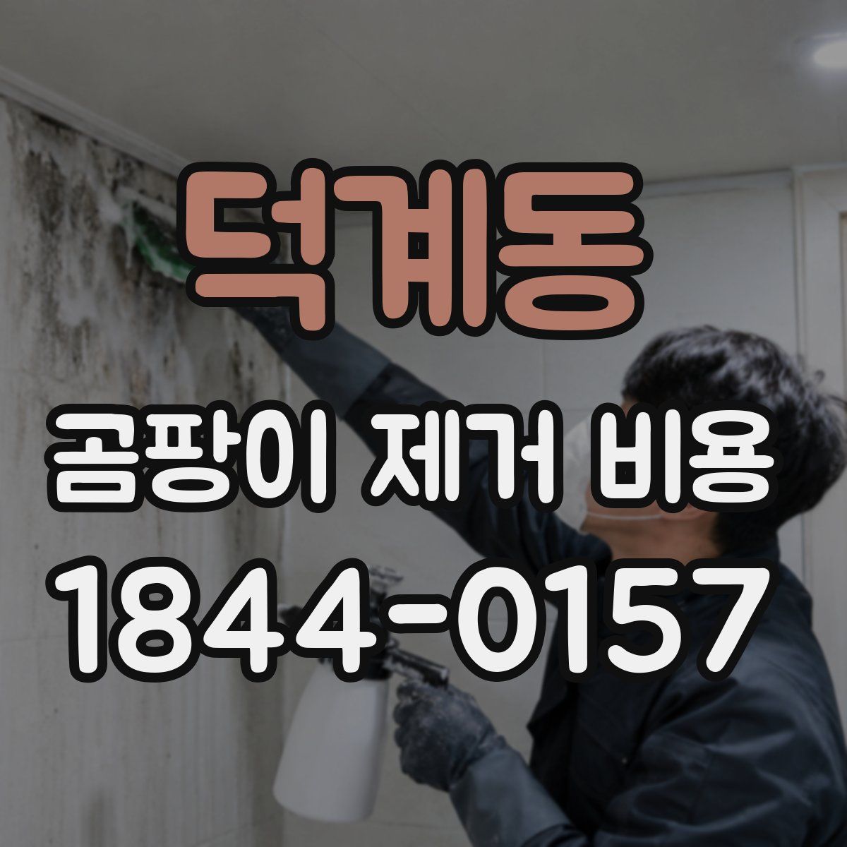 덕계동 곰팡이 제거 비용