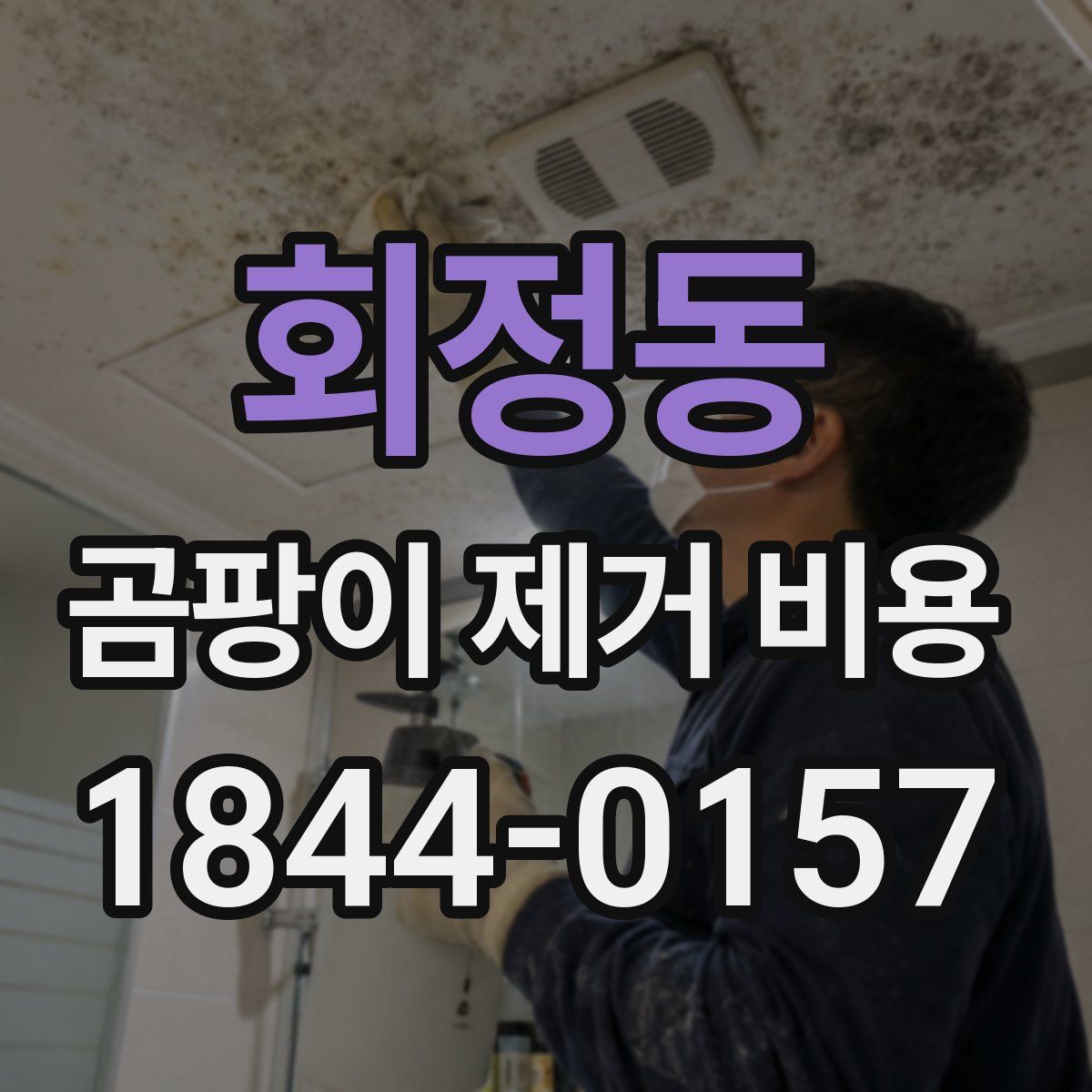 회정동 곰팡이 제거 비용