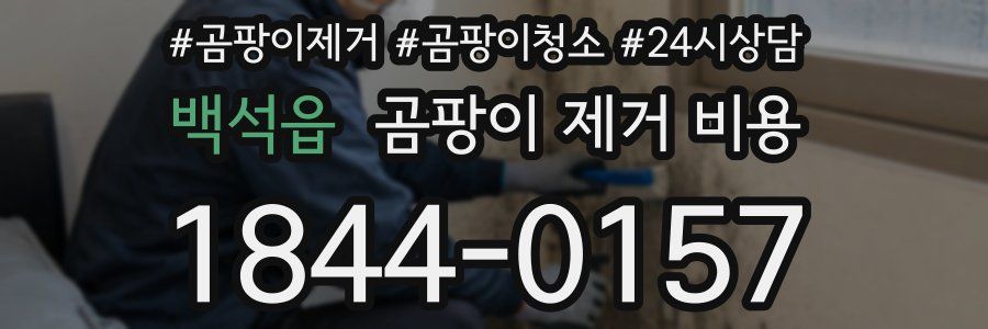 백석읍 곰팡이 제거 비용