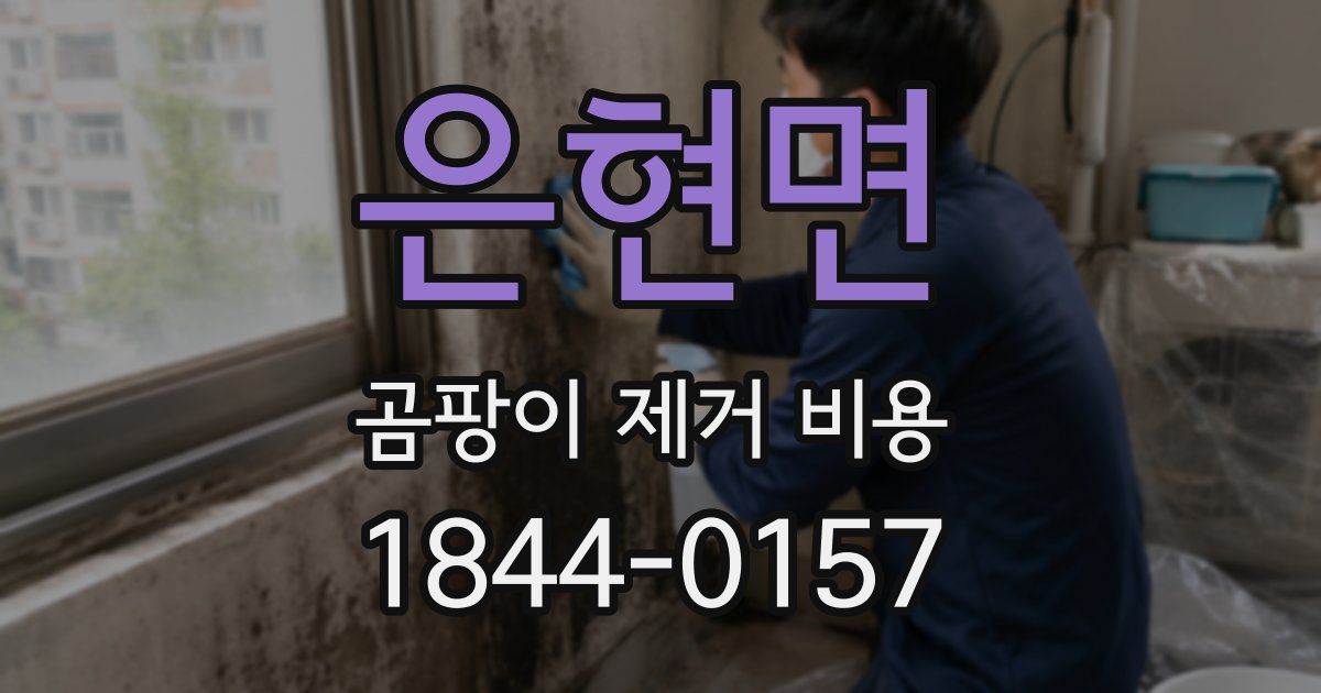 은현면 곰팡이 제거 비용