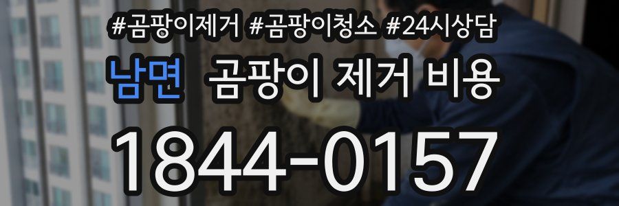 남면 곰팡이 제거 비용
