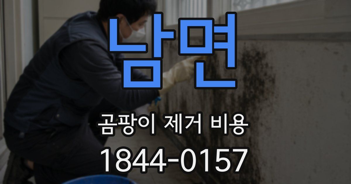남면 곰팡이 제거 비용