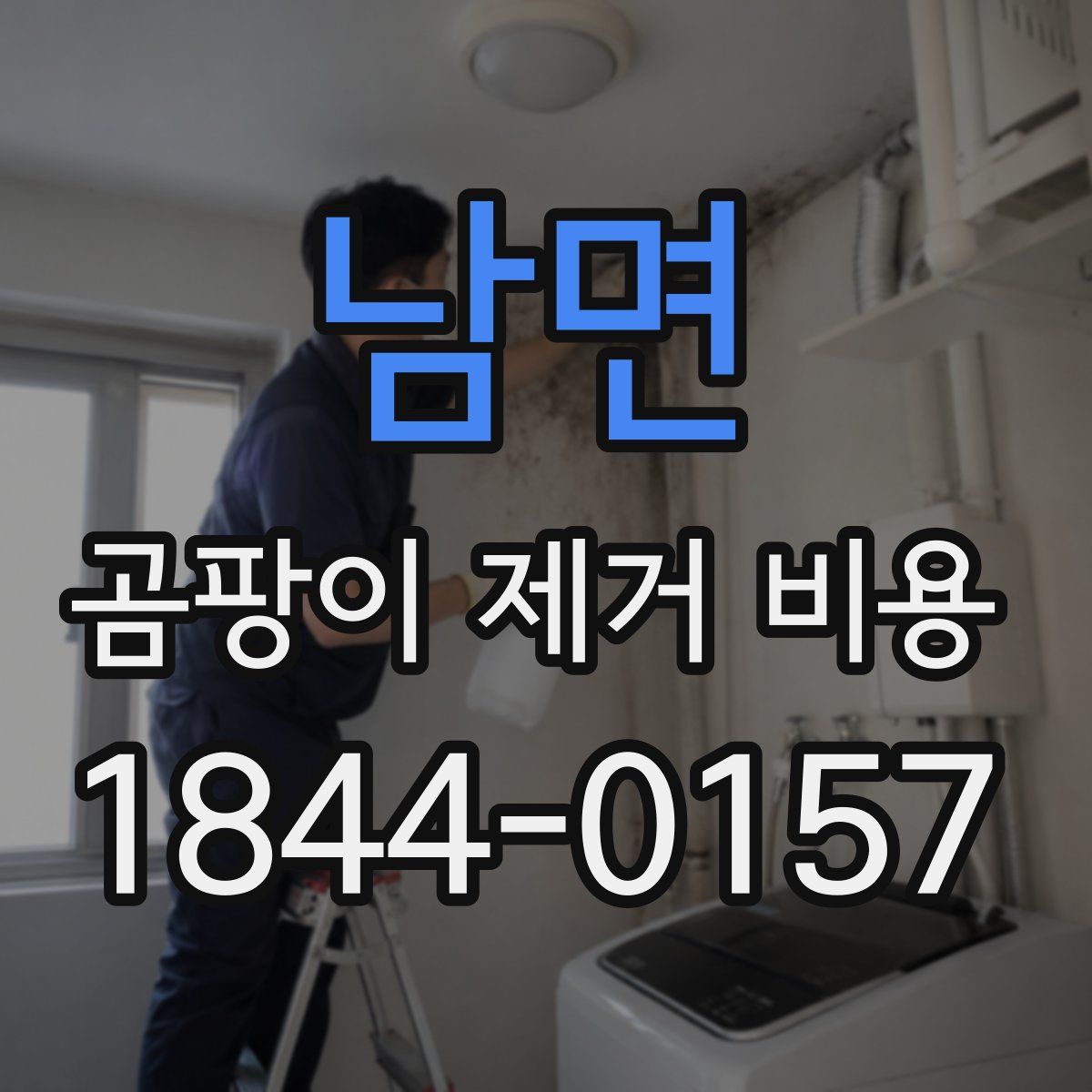 남면 곰팡이 제거 비용