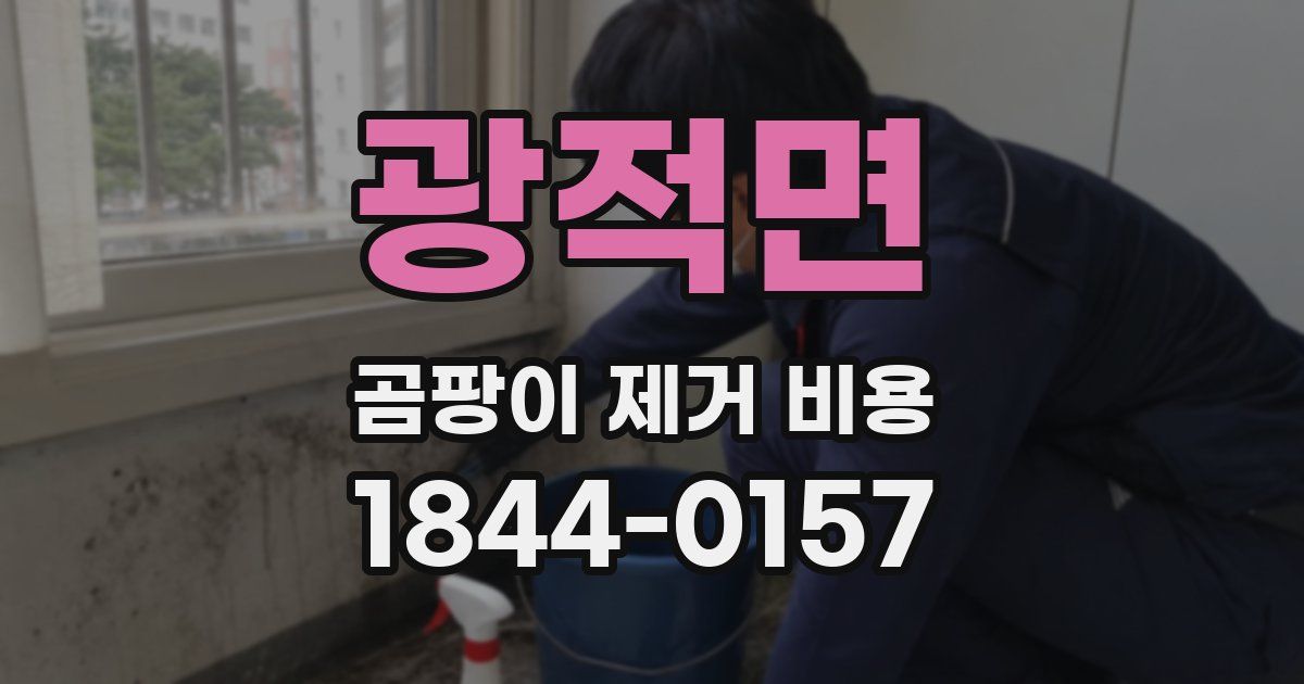 광적면 곰팡이 제거 비용