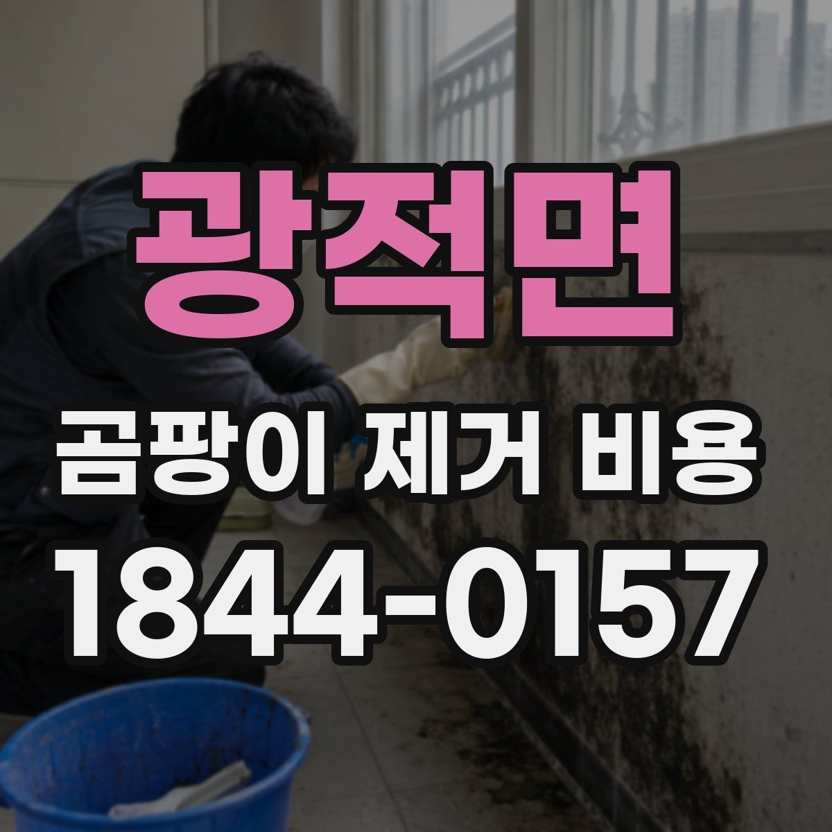 광적면 곰팡이 제거 비용