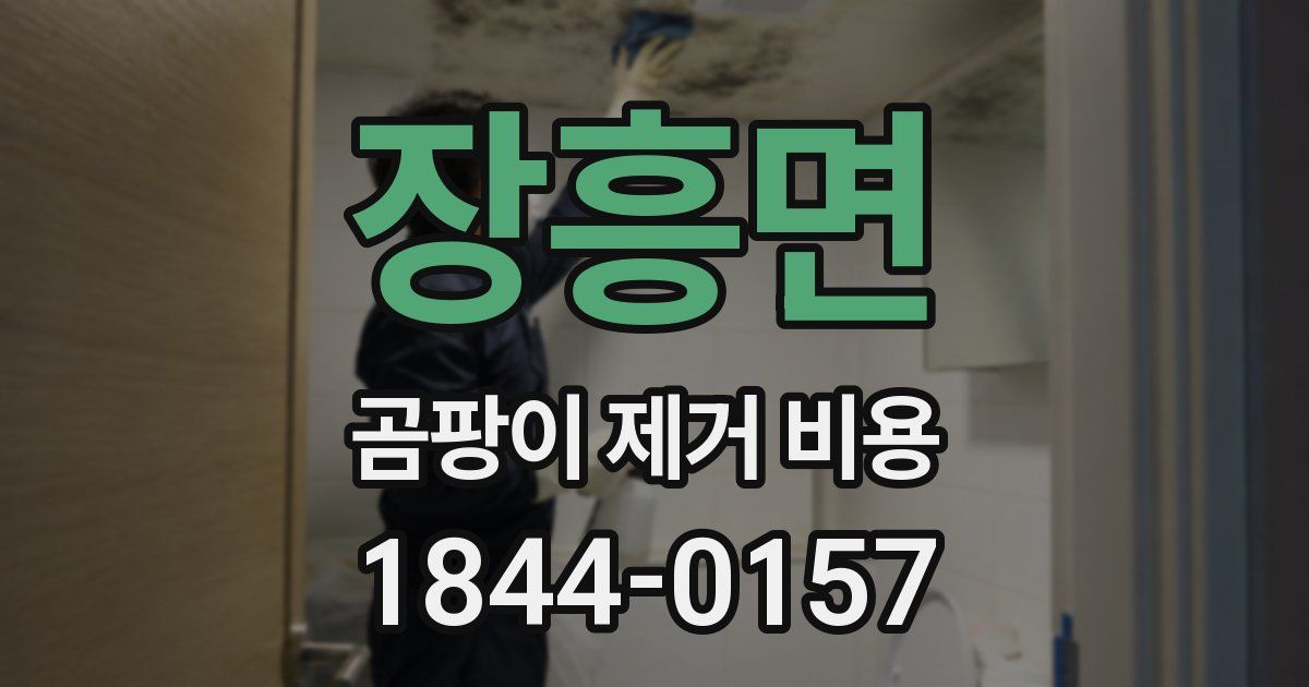 장흥면 곰팡이 제거 비용