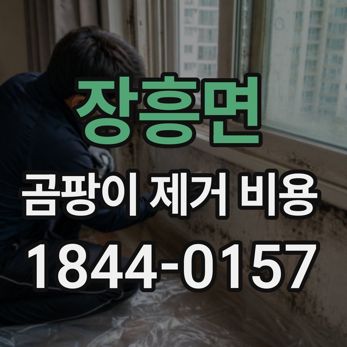 장흥면 곰팡이 제거 비용