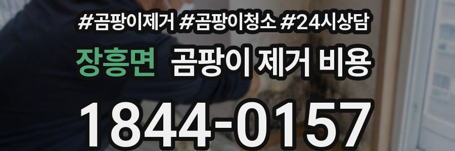 장흥면 곰팡이 제거 비용