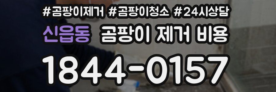 신읍동 곰팡이 제거 비용