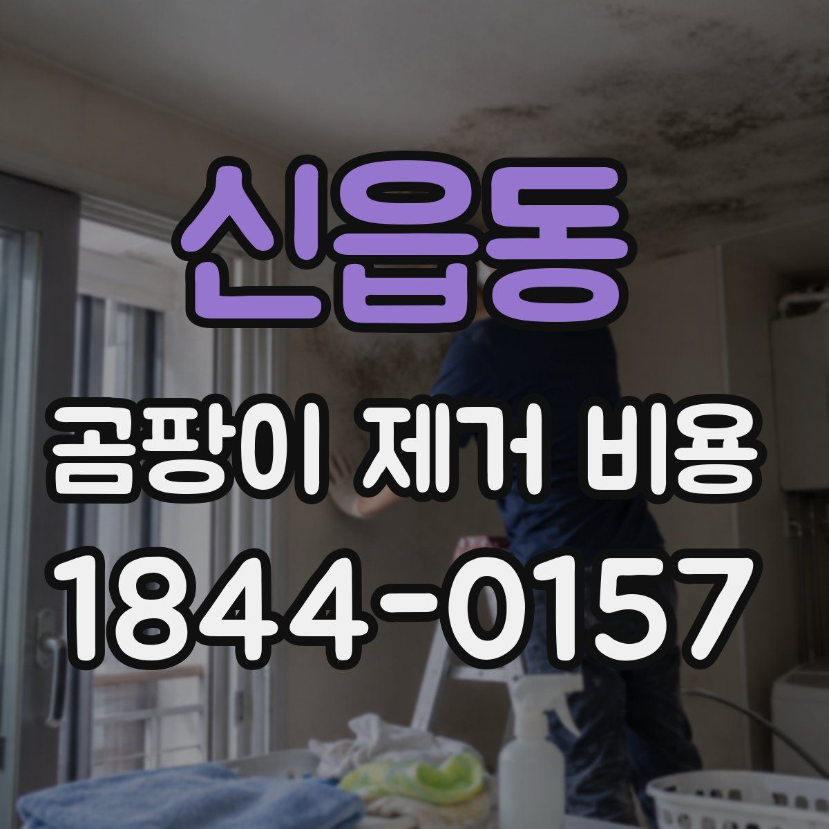 신읍동 곰팡이 제거 비용