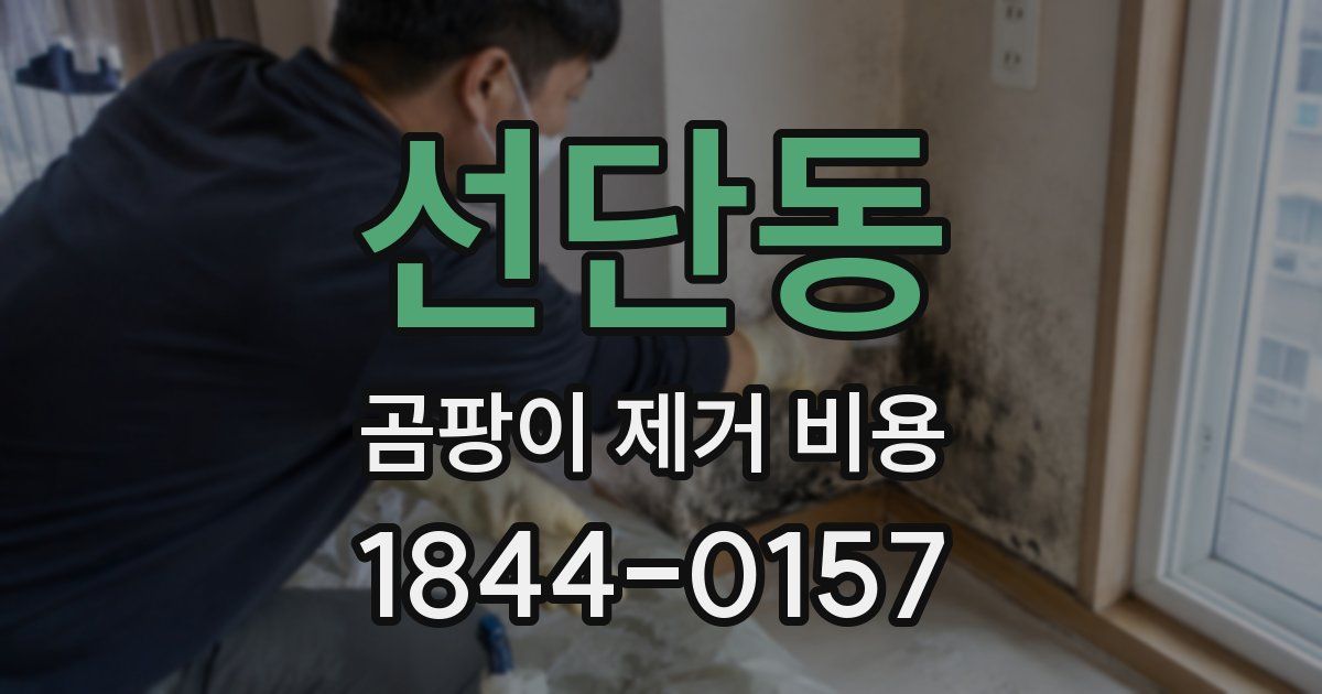 선단동 곰팡이 제거 비용