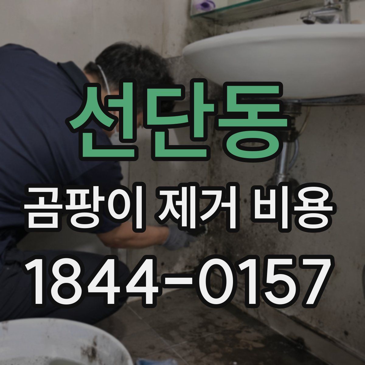 선단동 곰팡이 제거 비용