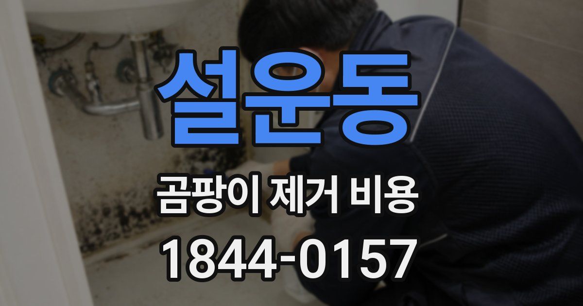 설운동 곰팡이 제거 비용