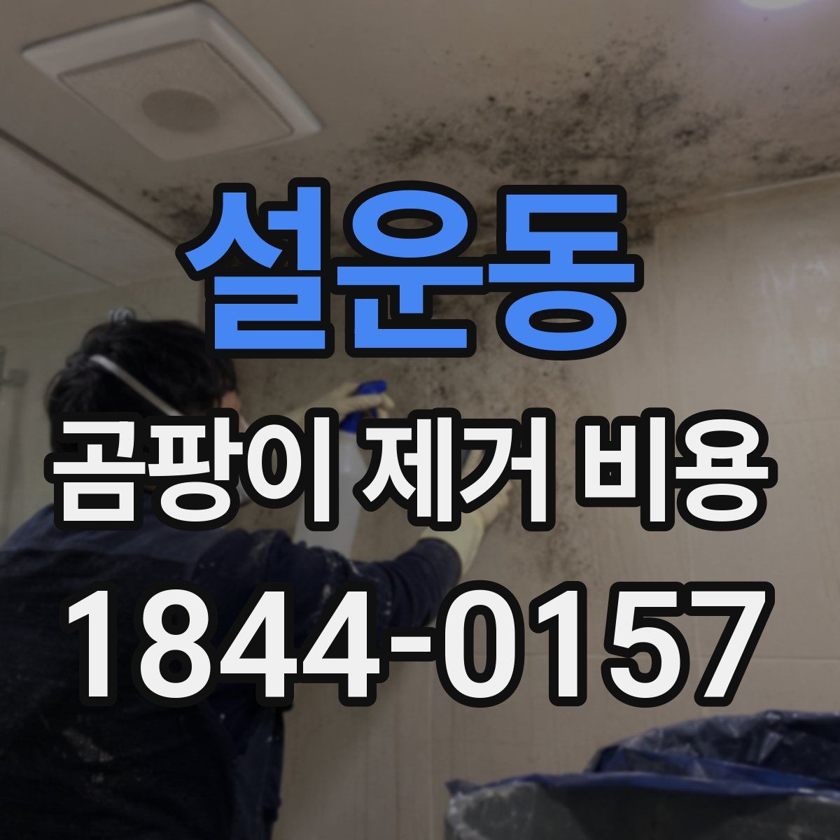 설운동 곰팡이 제거 비용