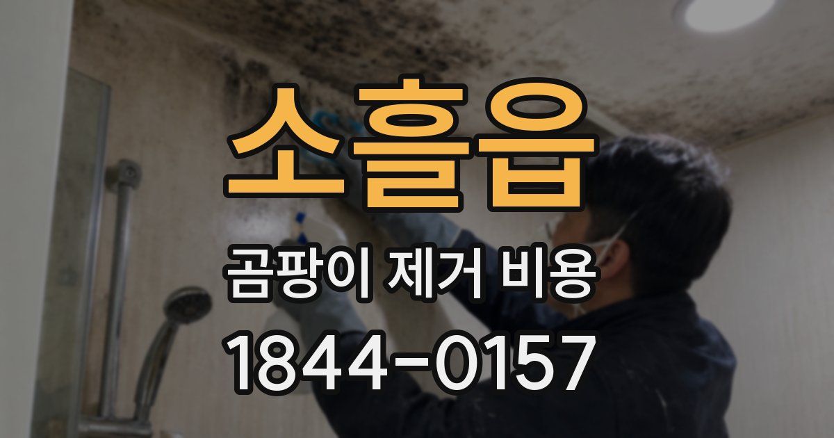소흘읍 곰팡이 제거 비용