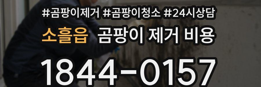 소흘읍 곰팡이 제거 비용