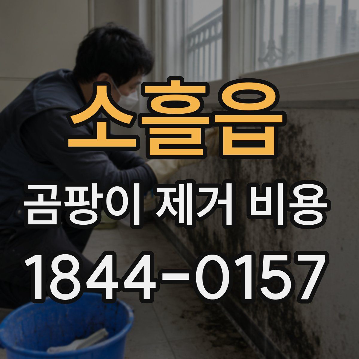 소흘읍 곰팡이 제거 비용