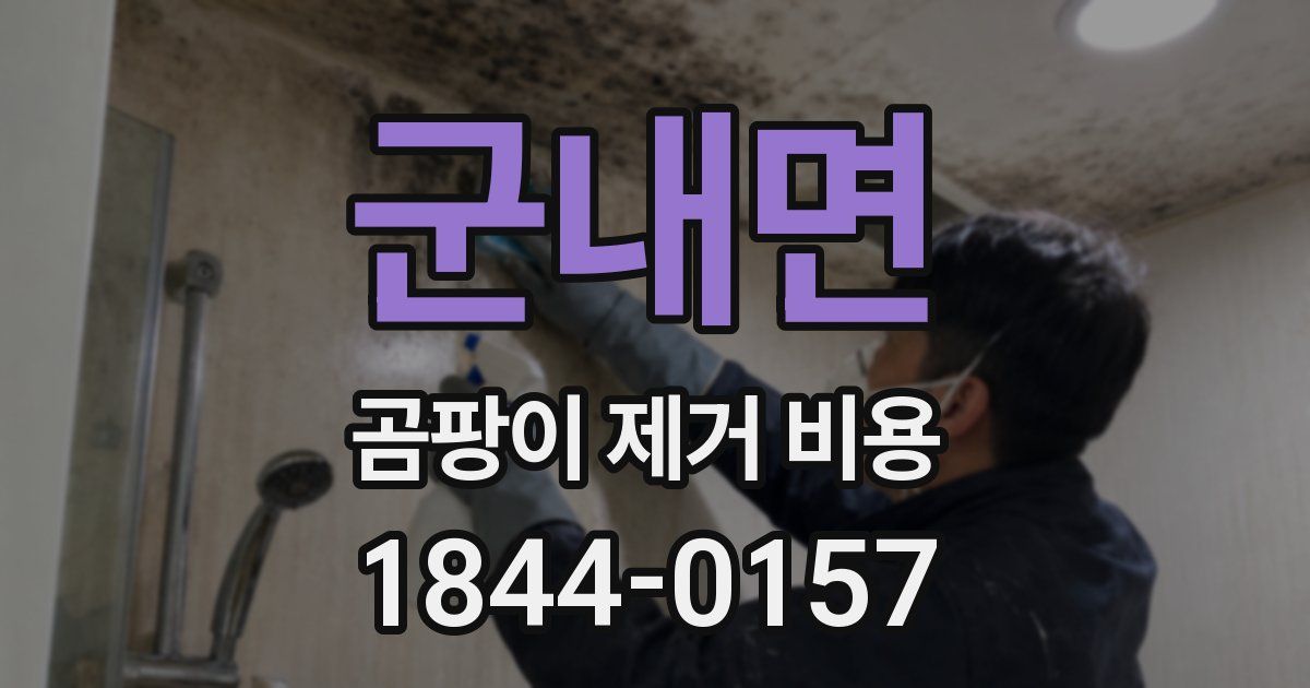 군내면 곰팡이 제거 비용