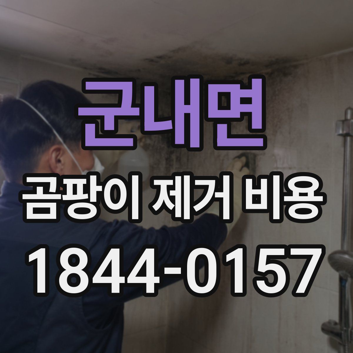 군내면 곰팡이 제거 비용