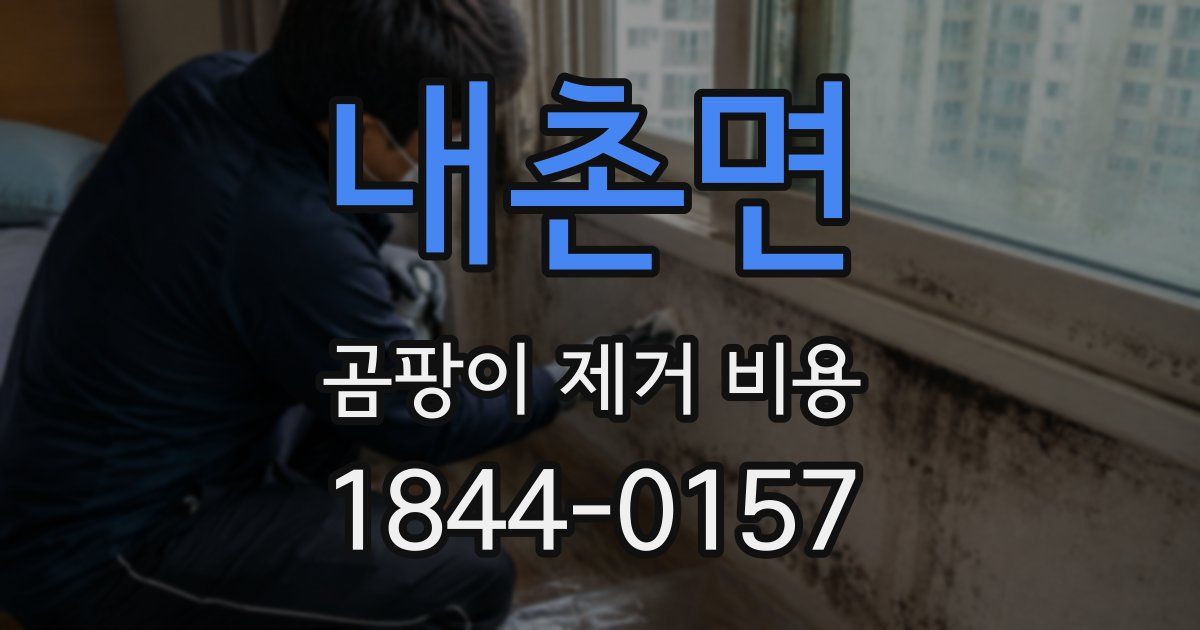 내촌면 곰팡이 제거 비용