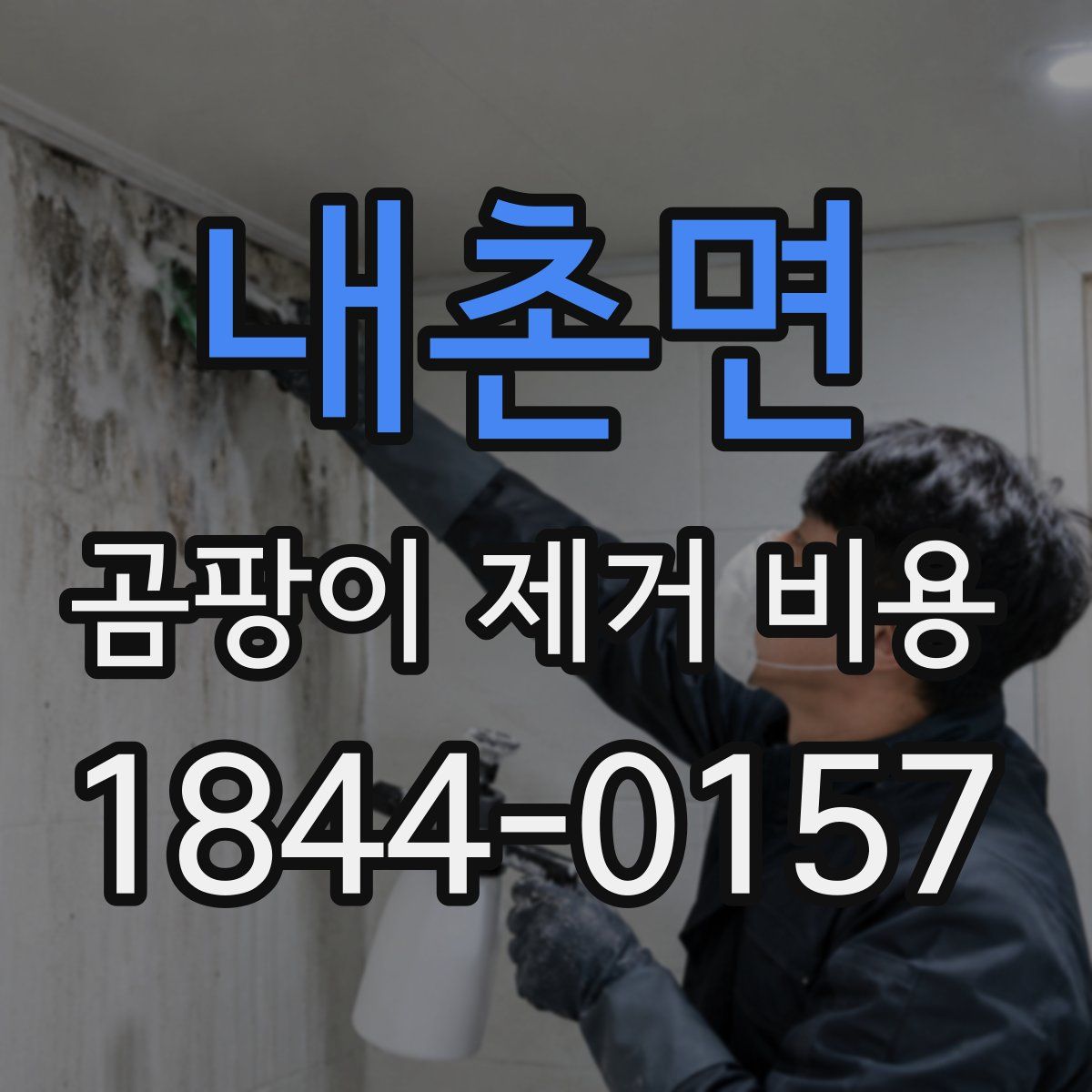 내촌면 곰팡이 제거 비용
