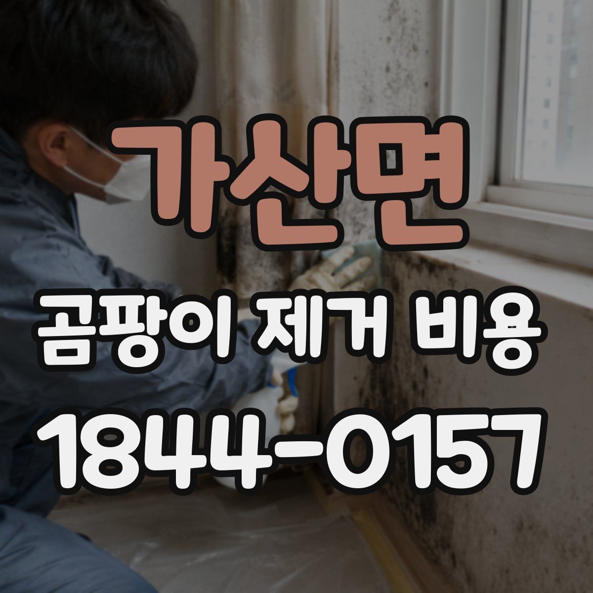 가산면 곰팡이 제거 비용