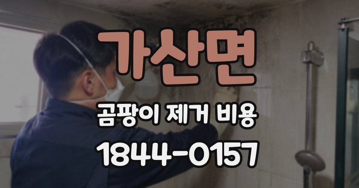 가산면 곰팡이 제거 비용