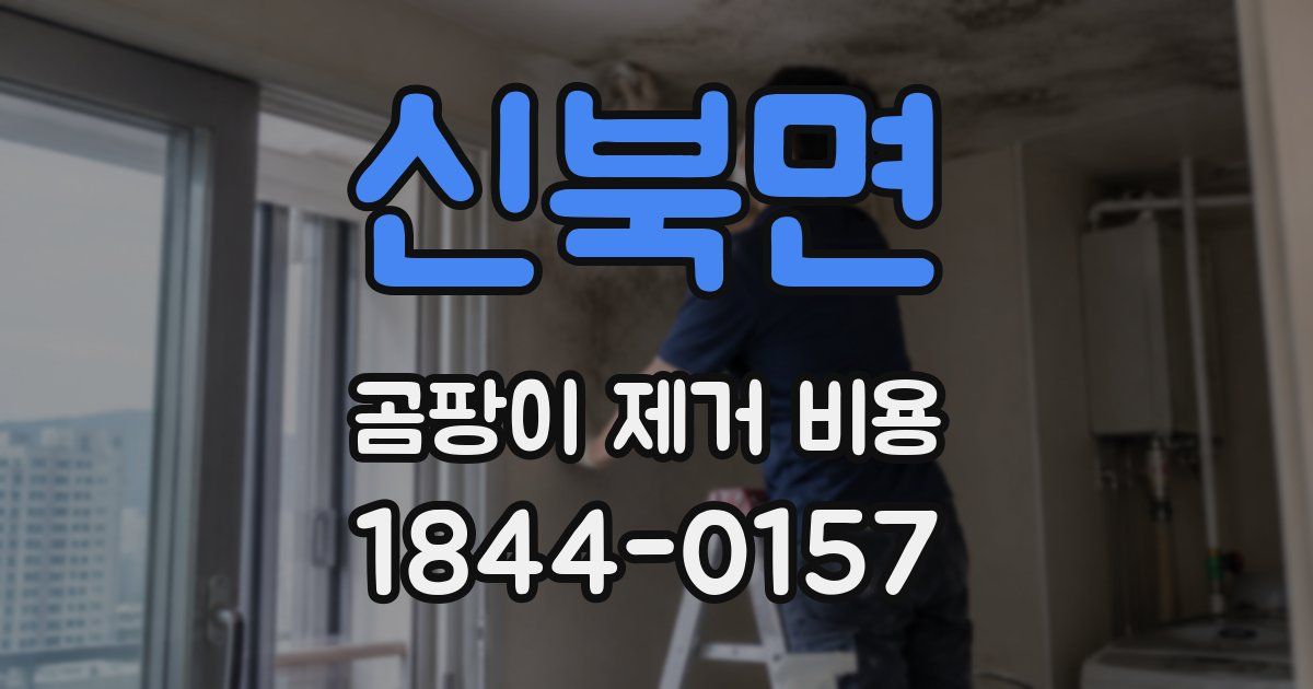 신북면 곰팡이 제거 비용