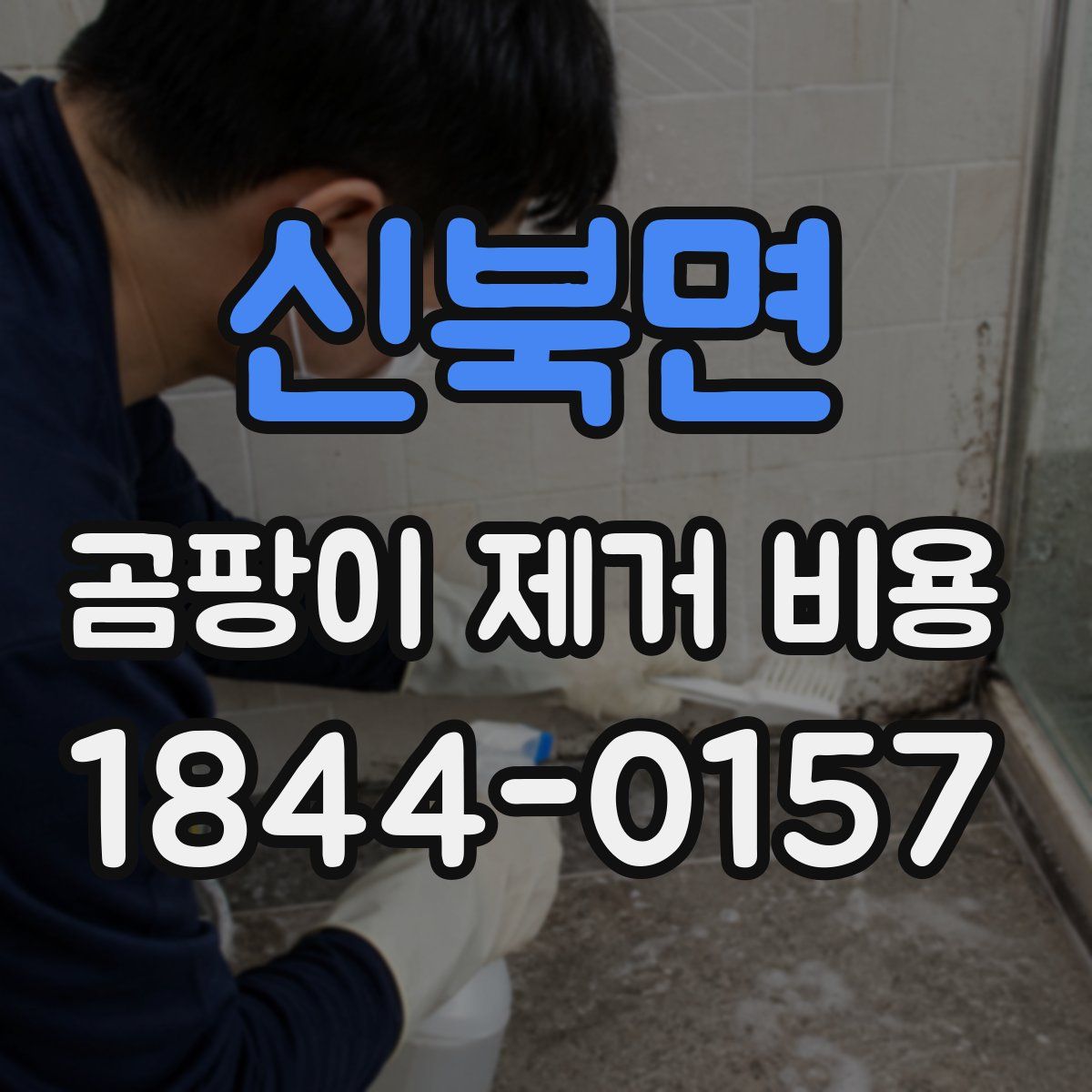 신북면 곰팡이 제거 비용