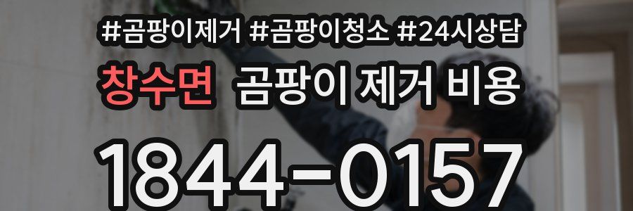 창수면 곰팡이 제거 비용