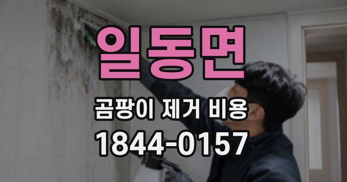 일동면 곰팡이 제거 비용