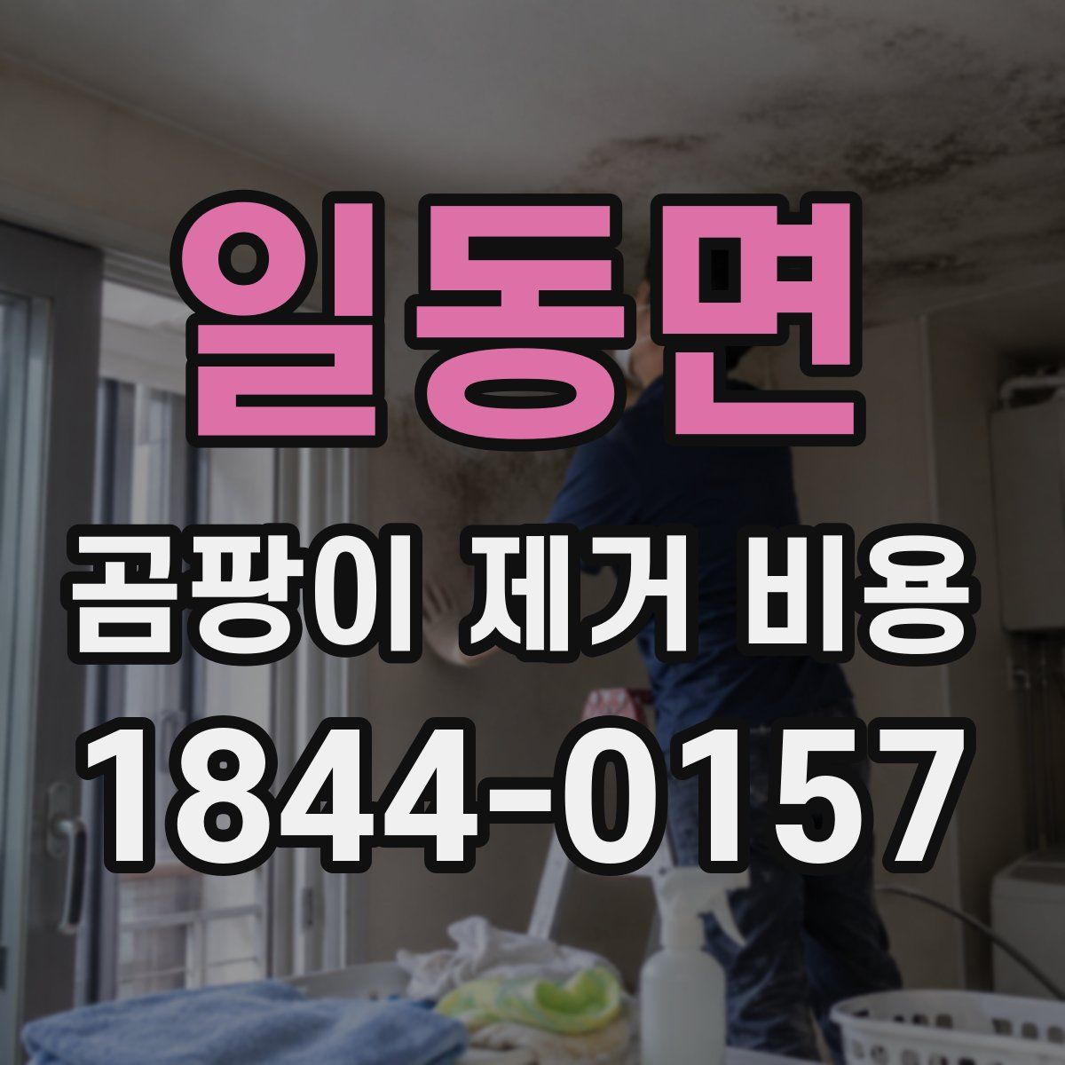 일동면 곰팡이 제거 비용