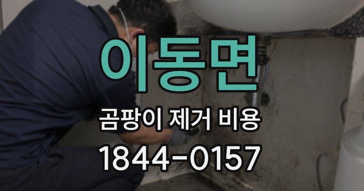 이동면 곰팡이 제거 비용