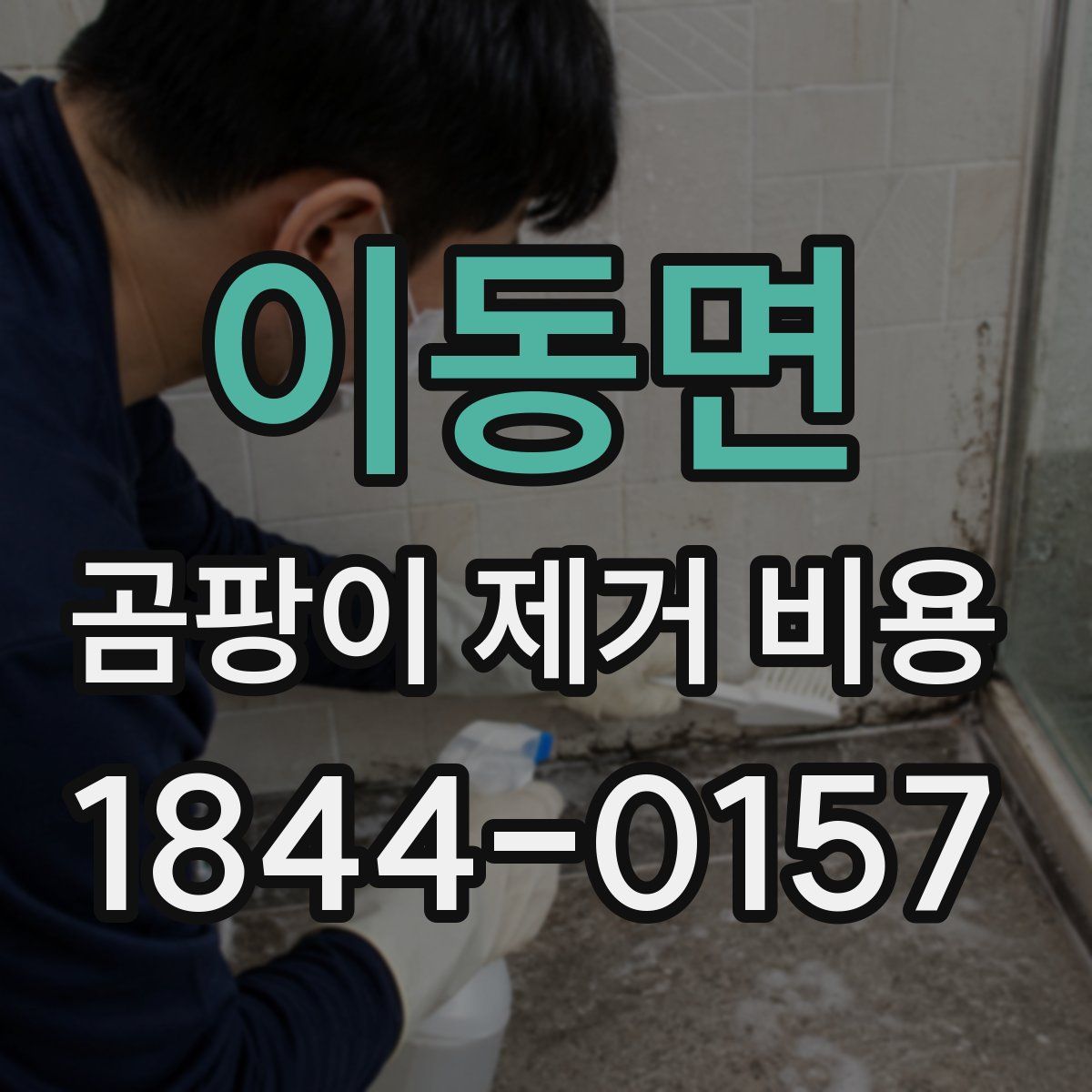 이동면 곰팡이 제거 비용