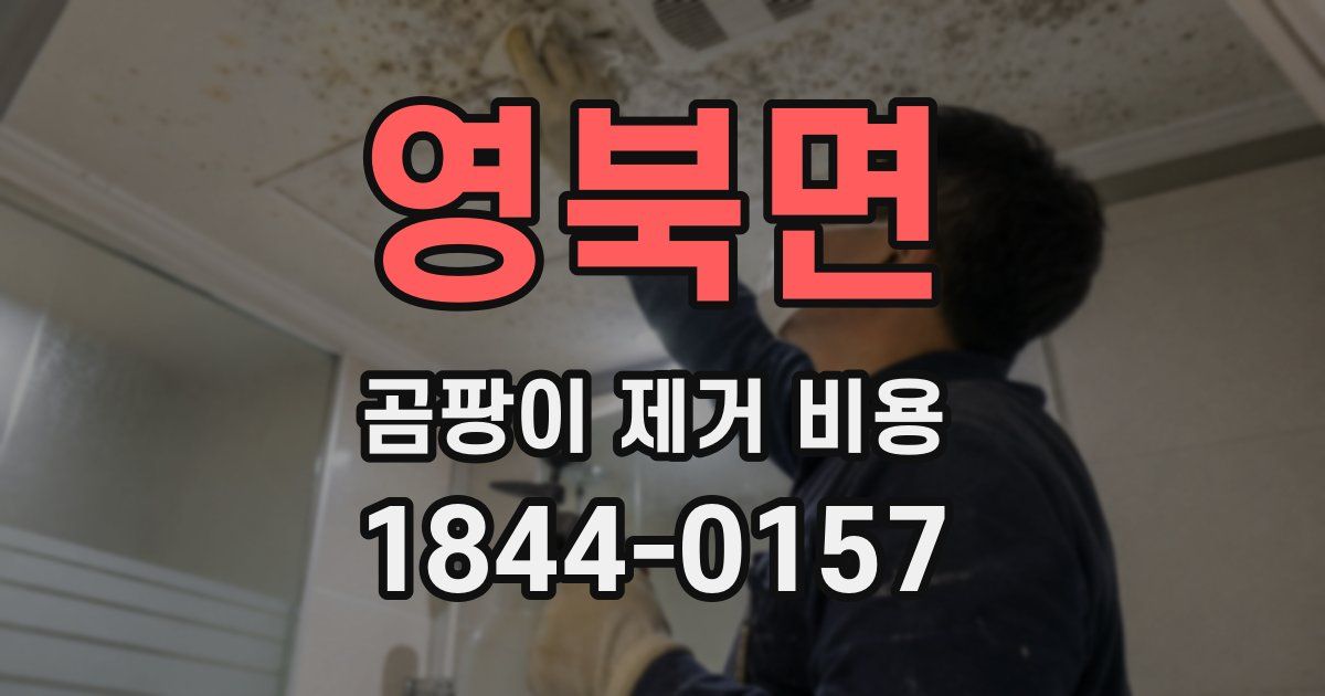 영북면 곰팡이 제거 비용