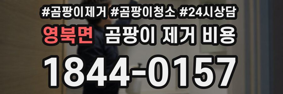 영북면 곰팡이 제거 비용