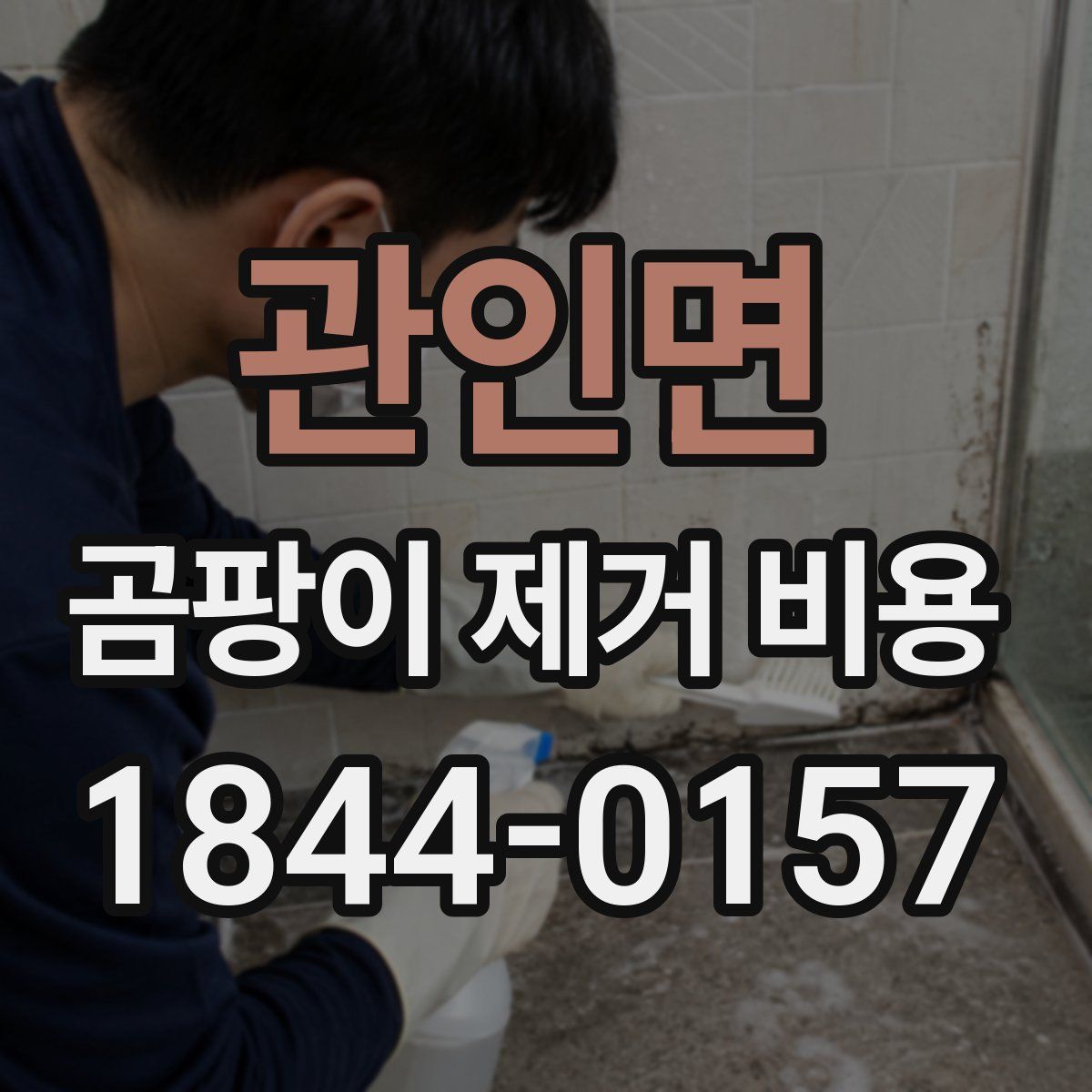 관인면 곰팡이 제거 비용